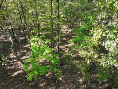 With hunting season officially here, we're excited to present on  in Arkansas - for sale on GolfHomes.com, golf home, golf lot