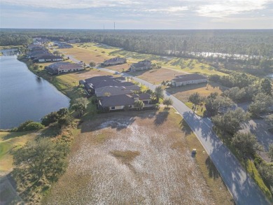 Welcome to Your Future Home Site at 439 Bourganville Dr., Palm on Conservatory Course At Hammock Beach Resort in Florida - for sale on GolfHomes.com, golf home, golf lot