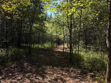 With hunting season officially here, we're excited to present on  in Arkansas - for sale on GolfHomes.com, golf home, golf lot