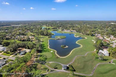 Stunning, Fully Updated Timber Pines Home is ready for you to on Timber Pines Golf Course in Florida - for sale on GolfHomes.com, golf home, golf lot