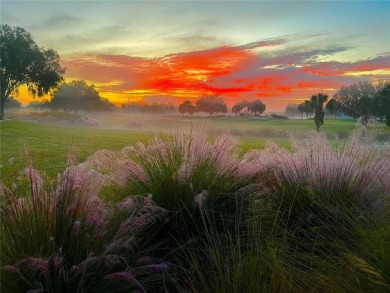 Welcome to this wonderful home on a corner home site and across on On Top of the World Golf Course in Florida - for sale on GolfHomes.com, golf home, golf lot