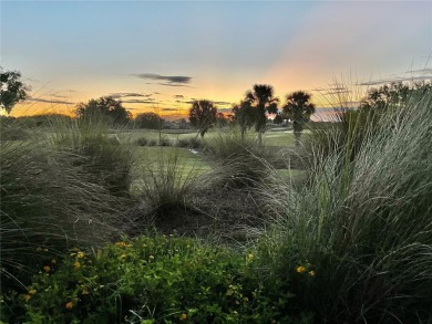 Welcome to this wonderful home on a corner home site and across on On Top of the World Golf Course in Florida - for sale on GolfHomes.com, golf home, golf lot