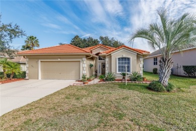 Welcome to this stylish 3 Bedroom plus Study/Home Office 2 on Skyview At Terra Vista Golf and Country Club in Florida - for sale on GolfHomes.com, golf home, golf lot