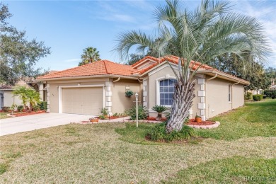 Welcome to this stylish 3 Bedroom plus Study/Home Office 2 on Skyview At Terra Vista Golf and Country Club in Florida - for sale on GolfHomes.com, golf home, golf lot