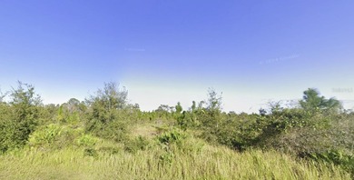 Come build your forever home on this one-half acre CANAL lot on Indian Lake Estates Golf and Country Club in Florida - for sale on GolfHomes.com, golf home, golf lot