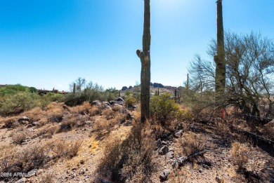 Wow! Build your Dream Home on this Large Vacant Lot on on Gold Canyon Golf Resort  in Arizona - for sale on GolfHomes.com, golf home, golf lot