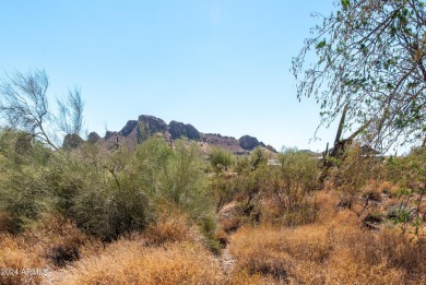 Wow! Build your Dream Home on this Large Vacant Lot on on Gold Canyon Golf Resort  in Arizona - for sale on GolfHomes.com, golf home, golf lot