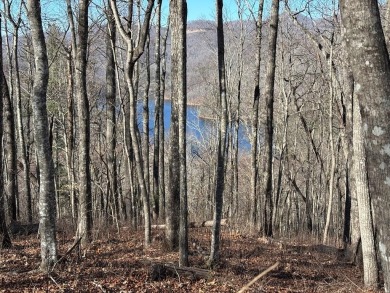 This luxury lot in Bear Lake Reserve features a gentle slope for on Bear Lake Golf Club in North Carolina - for sale on GolfHomes.com, golf home, golf lot