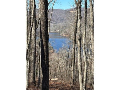 This luxury lot in Bear Lake Reserve features a gentle slope for on Bear Lake Golf Club in North Carolina - for sale on GolfHomes.com, golf home, golf lot