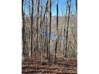 This luxury lot in Bear Lake Reserve features a gentle slope for on Bear Lake Golf Club in North Carolina - for sale on GolfHomes.com, golf home, golf lot