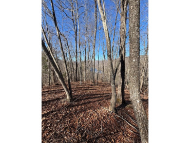 This luxury lot in Bear Lake Reserve features a gentle slope for on Bear Lake Golf Club in North Carolina - for sale on GolfHomes.com, golf home, golf lot
