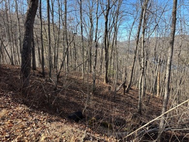 This luxury lot in Bear Lake Reserve features a gentle slope for on Bear Lake Golf Club in North Carolina - for sale on GolfHomes.com, golf home, golf lot