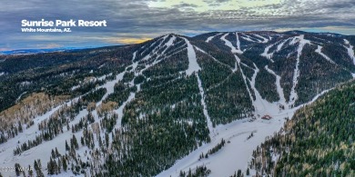 Nestled in the picturesque mountain town of Show Low, Arizona on Bison Golf and Country Club in Arizona - for sale on GolfHomes.com, golf home, golf lot