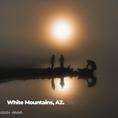 Nestled in the picturesque mountain town of Show Low, Arizona on Bison Golf and Country Club in Arizona - for sale on GolfHomes.com, golf home, golf lot