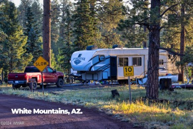 Nestled in the picturesque mountain town of Show Low, Arizona on Bison Golf and Country Club in Arizona - for sale on GolfHomes.com, golf home, golf lot