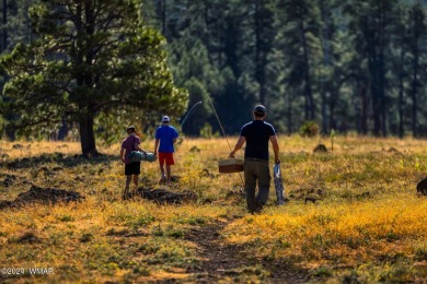 Nestled in the picturesque mountain town of Show Low, Arizona on Bison Golf and Country Club in Arizona - for sale on GolfHomes.com, golf home, golf lot
