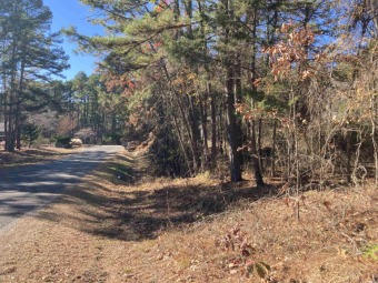 Great lot ready for your home on the Mountain Ranch Golf Course! on Mountain Ranch Golf Club in Arkansas - for sale on GolfHomes.com, golf home, golf lot