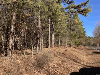 Great lot ready for your home on the Mountain Ranch Golf Course! on Mountain Ranch Golf Club in Arkansas - for sale on GolfHomes.com, golf home, golf lot