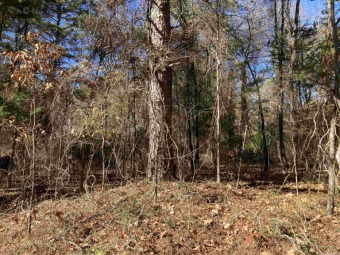 Great lot ready for your home on the Mountain Ranch Golf Course! on Mountain Ranch Golf Club in Arkansas - for sale on GolfHomes.com, golf home, golf lot