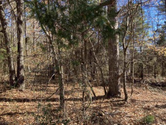 Great lot ready for your home on the Mountain Ranch Golf Course! on Mountain Ranch Golf Club in Arkansas - for sale on GolfHomes.com, golf home, golf lot
