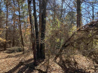 Great lot ready for your home on the Mountain Ranch Golf Course! on Mountain Ranch Golf Club in Arkansas - for sale on GolfHomes.com, golf home, golf lot