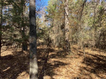 Great lot ready for your home on the Mountain Ranch Golf Course! on Mountain Ranch Golf Club in Arkansas - for sale on GolfHomes.com, golf home, golf lot