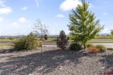 Discover Your Dream Home in Montrose: A Contemporary 2-Story on The Bridges Golf and Country Club in Colorado - for sale on GolfHomes.com, golf home, golf lot