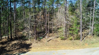 Welcome to Savannah Lakes Village! This property is a quiet, 0 on Monticello Golf Club At Savannah Lakes in South Carolina - for sale on GolfHomes.com, golf home, golf lot