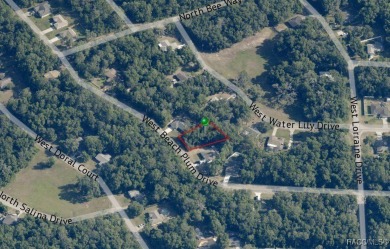 Oversized 1/4 acre parcel in Citrus Springs!! Power lines and on Citrus Springs Country Club in Florida - for sale on GolfHomes.com, golf home, golf lot