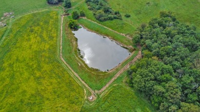 Discover an exceptional opportunity to own approximately 120 on Lake Tansi Village Country Club in Tennessee - for sale on GolfHomes.com, golf home, golf lot