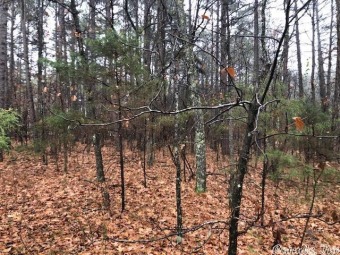 Here are 2 VERY NICE residential lots being sold together and on Mountain Ranch Golf Club in Arkansas - for sale on GolfHomes.com, golf home, golf lot