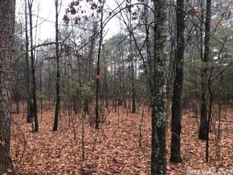 Here are 2 VERY NICE residential lots being sold together and on Mountain Ranch Golf Club in Arkansas - for sale on GolfHomes.com, golf home, golf lot