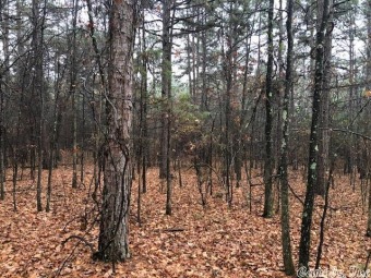 Here are 2 VERY NICE residential lots being sold together and on Mountain Ranch Golf Club in Arkansas - for sale on GolfHomes.com, golf home, golf lot