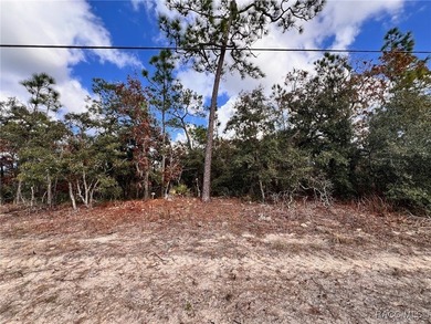 COME SEE WHY EVERYONE LOVES PINE RIDGE! This 3.27 (approx) acre on Pine Ridge Community Golf and Country Club in Florida - for sale on GolfHomes.com, golf home, golf lot