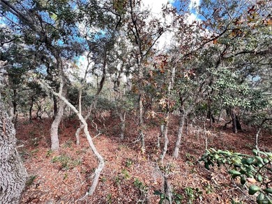 COME SEE WHY EVERYONE LOVES PINE RIDGE! This 3.27 (approx) acre on Pine Ridge Community Golf and Country Club in Florida - for sale on GolfHomes.com, golf home, golf lot