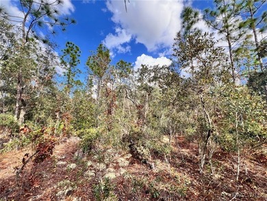 COME SEE WHY EVERYONE LOVES PINE RIDGE! This 3.27 (approx) acre on Pine Ridge Community Golf and Country Club in Florida - for sale on GolfHomes.com, golf home, golf lot