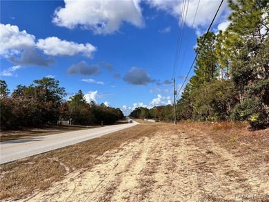 COME SEE WHY EVERYONE LOVES PINE RIDGE! This 3.27 (approx) acre on Pine Ridge Community Golf and Country Club in Florida - for sale on GolfHomes.com, golf home, golf lot