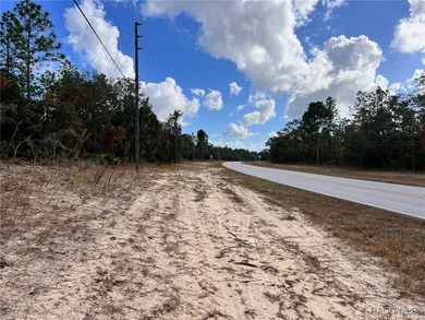 COME SEE WHY EVERYONE LOVES PINE RIDGE! This 3.27 (approx) acre on Pine Ridge Community Golf and Country Club in Florida - for sale on GolfHomes.com, golf home, golf lot