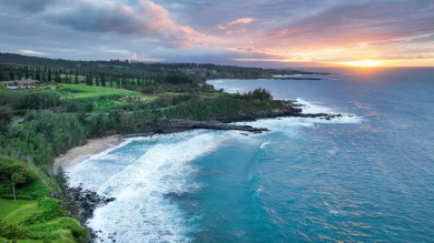 Experience the pinnacle of luxury living in this stunning estate on Kapalua Golf Club - Plantation Course in Hawaii - for sale on GolfHomes.com, golf home, golf lot