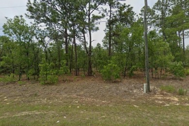 Lot for Sale in Citrus Springs Great Location!! Features:PDR on Citrus Springs Country Club in Florida - for sale on GolfHomes.com, golf home, golf lot