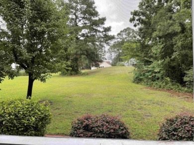 Thinking about Retirement, A 1st or 2nd home, or an Investment on Palmetto Greens Golf and Country Club in South Carolina - for sale on GolfHomes.com, golf home, golf lot