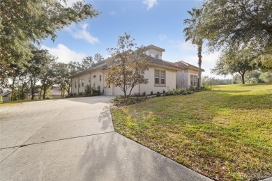 Welcome to this one-of-a-kind, expansive 5 bedroom, 4 bathroom on Skyview At Terra Vista Golf and Country Club in Florida - for sale on GolfHomes.com, golf home, golf lot
