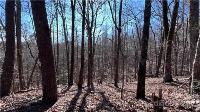 Beautiful lot in Shumont Estates, situated at end of Cul-de-sac on Rumbling Bald Resort on Lake Lure in North Carolina - for sale on GolfHomes.com, golf home, golf lot