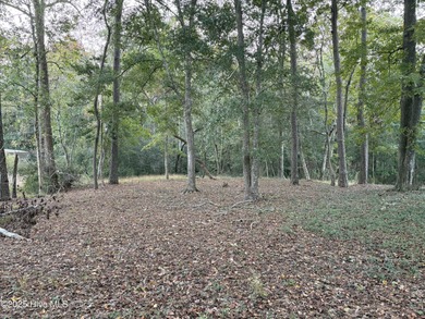 Spacious 0.48-acre homesite located in the gated Bent Tree on Brick Landing Plantation Yacht and Golf Club in North Carolina - for sale on GolfHomes.com, golf home, golf lot