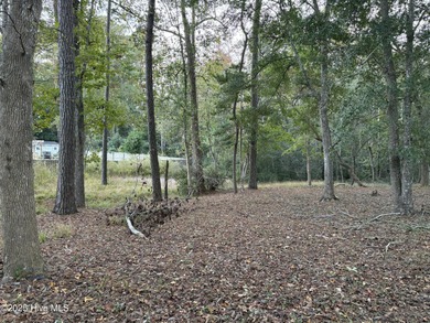 Spacious 0.48-acre homesite located in the gated Bent Tree on Brick Landing Plantation Yacht and Golf Club in North Carolina - for sale on GolfHomes.com, golf home, golf lot