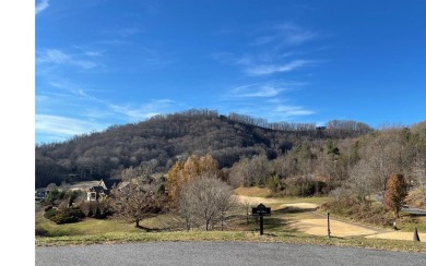 LUXURY LIVING IN THE MOUNTAINS!! If you are wanting to live in on Mountain Harbour Golf Club in North Carolina - for sale on GolfHomes.com, golf home, golf lot