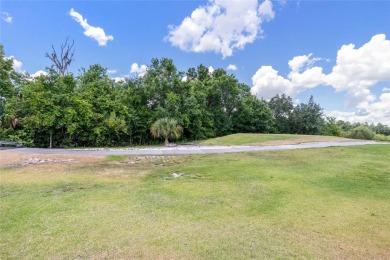 ***ACTIVE MEMBERSHIP AVAILABLE*** Beautiful 5 bed 5.5 bath on Reunion Resort Golf Course in Florida - for sale on GolfHomes.com, golf home, golf lot