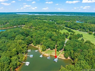 You can renovate a home, but you cannot renovate the view. This on Kinderton Country Club in Virginia - for sale on GolfHomes.com, golf home, golf lot