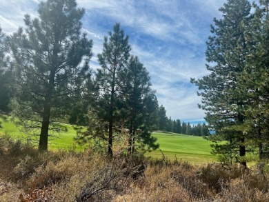 Backing to 18th Fairway of The Dragon at Nakoma! This homesite on Nakoma Golf Resort in California - for sale on GolfHomes.com, golf home, golf lot