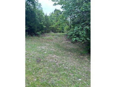 Build your dream home on this waterfront corner lot in the on Raintree Country Club in Missouri - for sale on GolfHomes.com, golf home, golf lot